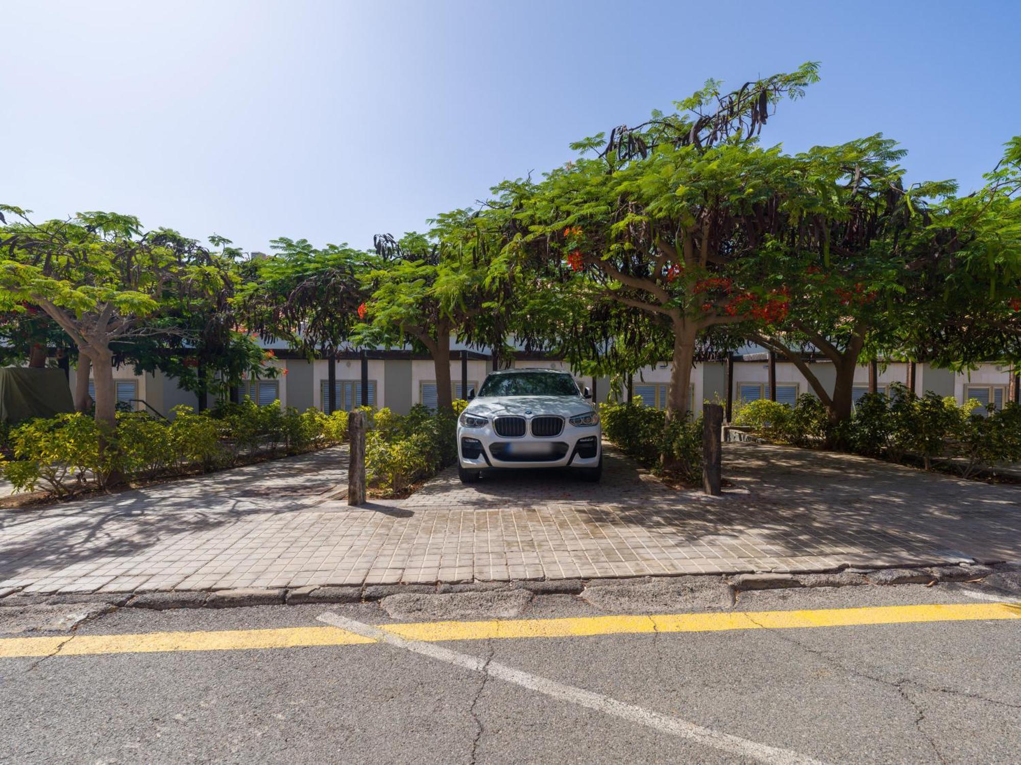 Blue Marlin Apartment - Gran Canaria Stays Pasito Blanco Ngoại thất bức ảnh